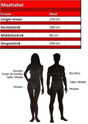 Baseball Speelster 2 Baseball Speelster - Afbeelding 2