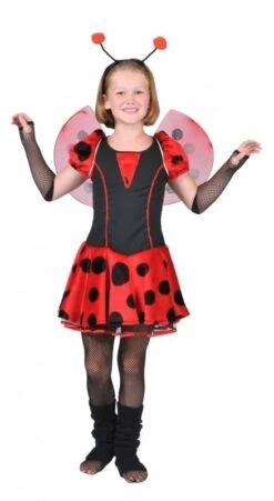 Lieveheersbeest Jurkje