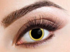 Party Lenzen Eclipse