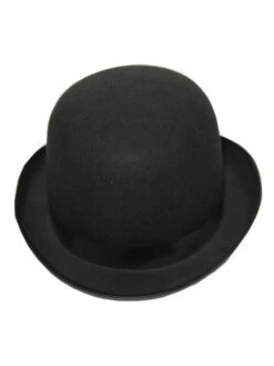 Zwarte Bolhoed Hollands Model