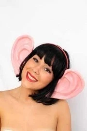 Diadeem Met Grote Oren