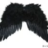 Veren Vleugels Zwart