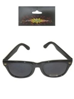 Zwarte Blues Brother Bril