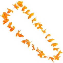 Hawai Krans Oranje Budget