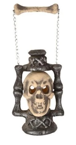 Lantaarn Skull Met Led