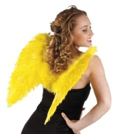 Veren Vleugels Geel