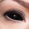 Party Lenzen Sclera Black Eye