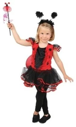 Schattig Lieveheersbeestje