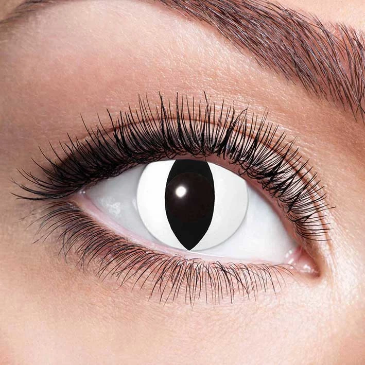 Party Lenzen White Cat 1 Party Lenzen White Cat