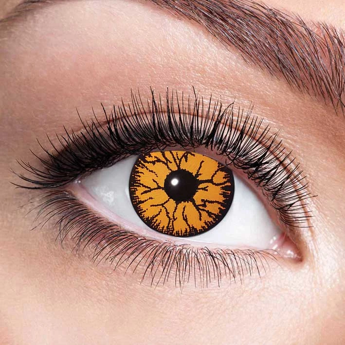 Party Lenzen Monster Orange 1 Party Lenzen Monster Orange